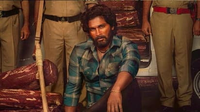 ‘పుష్ప’‌ స్టోరీ: భార్యాభర్తల ఎమోషన్ ...'మన్యం పులి' మసాలాతో