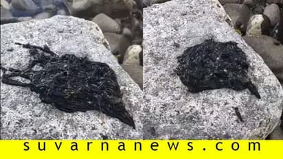 ಕೊರೋನಾ ಭೀತಿ ನಡುವೆ ಪತ್ತೆಯಾಯ್ತು ವಿಚಿತ್ರ ಜೀವಿ: ಕ್ಯಾಮೆರಾದಲ್ಲಿ ಸೆರೆಯಾಯ್ತು ದೃಶ್ಯ!