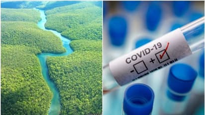 പുറംലോകവുമായി ബന്ധമില്ലാത്ത ആമസോണ്‍ ഗോത്രവര്‍ഗത്തില്‍ ഒരാള്‍ക്ക് കൊവിഡ്; ബ്രസീലില്‍ ആശങ്ക