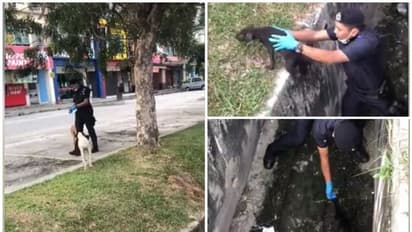 അഴുക്കുചാലില് കുടുങ്ങിയ തെരുവ് നായക്ക് രക്ഷകനായി പൊലീസുകരന് വീഡിയോ വൈറല്