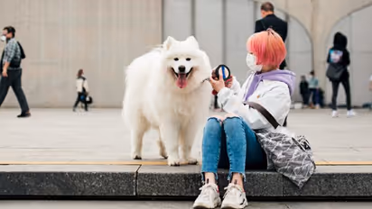 প্রাণীসম্পদ থেকে পোষ্য হল কুকুর, করোনাভাইরাস-এর জেরে চিনে বড়-সড় রদবদল