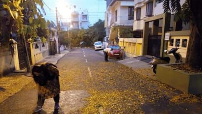 ರಸ್ತೆ ಗುಡಿಸಿ, ಸರಳತೆ ಮೆರೆದ ಸಚಿವ ಸುರೇಶ್ ಕುಮಾರ್ ದಂಪತಿ