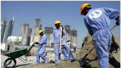 ലേബര്‍ ക്യാമ്പുകളിലെ തൊഴിലാളികളെ സ്‌കൂളുകളിലേക്ക് മാറ്റാന്‍ നടപടി