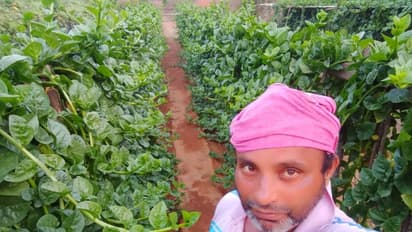 ವಿದೇಶದ ಉದ್ಯೋಗ ತಿರಸ್ಕರಿಸಿ ಕೃಷಿಯತ್ತ ಮುಖ: ತರಕಾರಿ ಕೇಳಿ ಮನೆಗೇ ಬರ್ತಾರೆ ಜನ