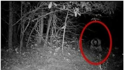 കുന്നംകുളത്തെ അജ്ഞാത മനുഷ്യൻ; ജില്ലാ പൊലീസ് മേധാവി അന്വേഷിച്ച് നടപടിയെടുക്കണമെന്ന് ഹൈക്കോടതി