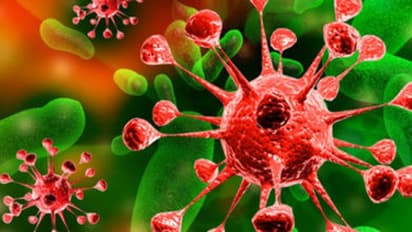 கொரோனா பாதித்த மாவட்டங்களை கண்டறிய நிறங்கள்... எந்தெந்த மாவட்டத்திற்கு எந்த கலர் தெரிஞ்சிக்கோங்க...!