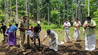 ലോക്ക്ഡൗൺ കാലത്ത് ആദിവാസികളെ വറുതിയിലാക്കാതെ ‘വനിക’; ആവേശമുൾക്കൊണ്ട് ആദിവാസി യുവാക്കൾ ജൈവ കൃഷിയിലേക്ക്