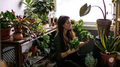 লকডাউনে সাজিয়ে তুলুন সখের ব্যালকনি, রইল অন্দরসজ্জার তাক লাগানো টিপস