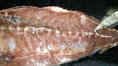 പരിശോധകര്‍ക്കും ഞെട്ടല്‍; ഇന്ന് മാത്രം പിടിച്ചെടുത്തത് 35,786 കിലോഗ്രാം ചീഞ്ഞ മത്സ്യം