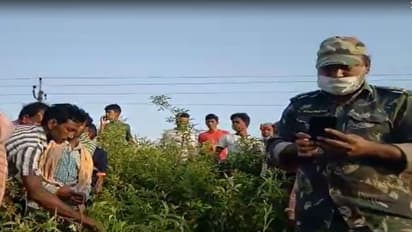 লকডাউনে 'পেটের জ্বালায়' ইটভাটায় কাজ প্রৌঢ়ের, হাতির হানায় হারালেন প্রাণ