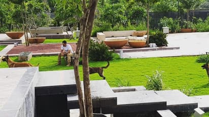 ಹೊಸ ಮನೆ ಖರೀದಿಸಿದ ಎಂ.ಎಸ್.ಧೋನಿ; ಪುಣೆಗೆ ಶಿಫ್ಟ್ ಆಗ್ತಾರಾ ಮಾಜಿ ನಾಯಕ?