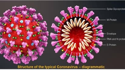 కరోనా సోకి మహిళ మృతి.. ఆమె భర్తకు పాజిటివ్