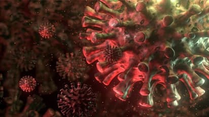 Coronavirus: Karnataka registers 69 fresh cases, death toll rises to 43