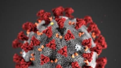 38 out of 198 wards in Bengaluru infected with coronavirus, check if yours falls in the list