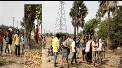 చెట్టుకు వేలాడుతూ యువతుల శవాలు: వీడిన మిస్టరీ, తెలియని కారణం