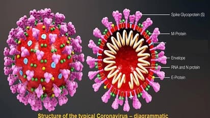 Why coronavirus is so lethal & fast-spreading: Its biology, disease, cure & call for united action
