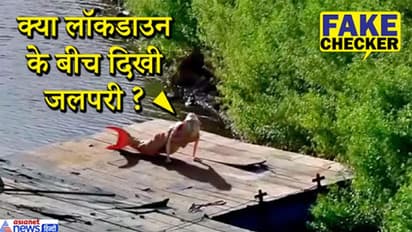 FACT CHECK: समंदर किनारे दिखा मछली जैसा अजीब जानवर, जलपरी कहकर चिल्लाने लगे लोग