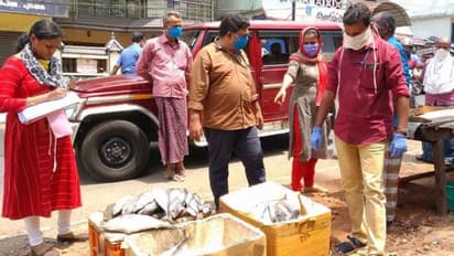 സാഗർ റാണി തുടരുന്നു; ആലപ്പുഴയിലെ വിവിധയിടങ്ങളില് പഴകിയ മത്സ്യം പിടിച്ചു