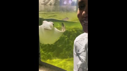 அம்மாடி எவ்வளவு அழகு !! நம்ம ஊரு பெண்ணாக வலம் வரும் இளைஞர்களின் மனதை கொள்ளையடித்த நிவேதா பெத்துராஜ்....