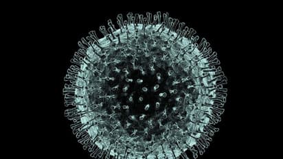 కరోనా వైరస్: రాణిగారి తోటలో టిఫిన్ బండి వ్యాపారికి పాజిటివ్