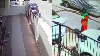 থুতু-ভরা ব্যাগ ছুড়ে মারছে বাড়ির ভিতর, রহস্যময়ী করোনা-জেহাদিদের দাপটে তটস্থ গোটা শহর