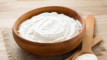 Benefits of including curd in daily diet