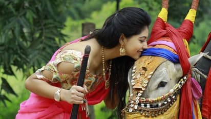 சித்திரை திருநாளை சிறப்பாக கொண்டாடிய நடிகை அதுல்யா ரவி....தாவணி போட்ட தீபாவளியாக வலம் வரும் புகைப்படங்கள் !