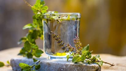 कोरोना से बचाव के लिए सबसे जरूरी है इम्युनिटी मजबूत करना, अपनाएं ये 5 उपाय