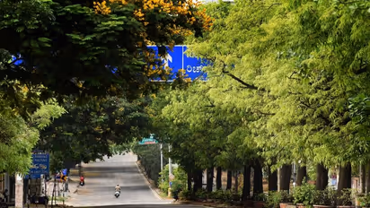 ಗಾರ್ಡನ್‌ ಸಿಟಿ ಎಂದಿದ್ದು ಸುಮ್ಮನೆಯಲ್ಲ, ಬೆಂಗಳೂರಿನ ಚಂದವನ್ನೊಮ್ಮೆ ನೋಡಿ