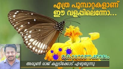 ഇപ്പോഴാണ് വീട്ടുവളപ്പിലെ പൂമ്പാറ്റകളെയും  കിളികളെയുമൊക്കെ കാണുന്നത്...