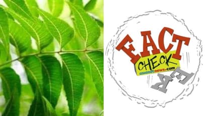 കൊവിഡിന് മരുന്ന് മുറ്റത്ത്? വേപ്പിലയെ കുറിച്ചുള്ള വാദങ്ങളുടെ വാസ്‍തവമറിയാം