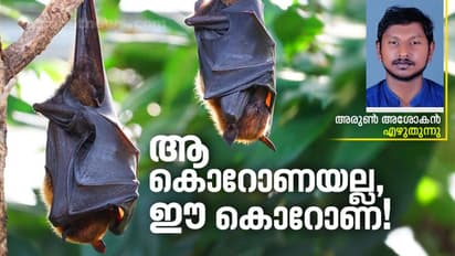 കൊവിഡ്: കേരളത്തിലെ വവ്വാലുകളെ പേടിക്കണോ?