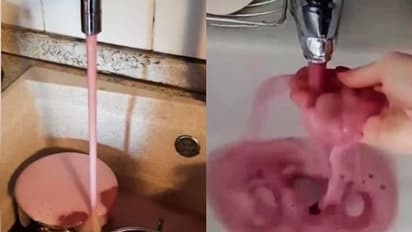 লকডাউনে ভারতীয়রা হন্যে মদের জন্য, ইতালিতে কল খুললেই পড়ছে ঝলমলে রেড ওয়াইন, দেখুন ভিডিও