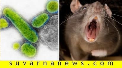 ಹೊಸದುರ್ಗದಲ್ಲಿದೆ ಪ್ಲೇಗಮ್ಮನ ದೇಗುಲ