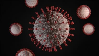 ലോകത്ത് കൊവിഡ് ബാധിതര് 21 ലക്ഷം കടന്നു; അമേരിക്ക മോശം അവസ്ഥ പിന്നിട്ടെന്ന് ട്രംപ്