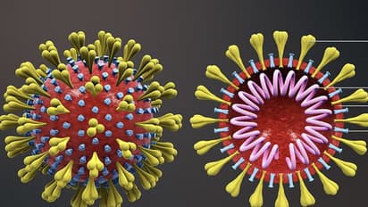 হাজার টাকার বিনিময় মাত্র ১০ মিনিটেই করোনা নির্ণয়, নতুন টেস্ট কিট তৈরি কেরলের সংস্থায়