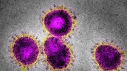 భయాందోళనలు: కరోనా వైరస్ తో కర్నూలు డాక్టర్ మృతి