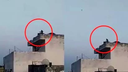 করোনাভাইরাস কি তবে বাড়িয়ে দিল বিবর্তনের গতি, দেখুন কেন এই ভিডিও ভাইরাল