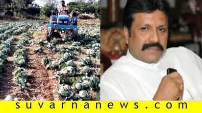 ಬೆಳೆ ನಾಶ ಮಾಡಿದ್ರೆ ಪರಿಹಾರ ಸಿಗಲ್ಲ: ಬಿ.ಸಿ.ಪಾಟೀಲ