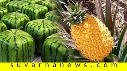 ಜಗತ್ತಿನ ಅತಿ ದುಬಾರಿ ಹಣ್ಣುಗಳು- ಬೆಲೆ ಕೇಳಿದ್ರೆ ಶಾಕ್ ಆಗ್ತೀರಾ!