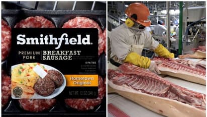 അമേരിക്കയിലെ ഏറ്റവും വലിയ കൊവിഡ് ഹോട്ട്സ്പോട്ട്  ചൈനീസ് ഉടമസ്ഥതയിലുള്ള ഈ പോർക്ക് ഫാക്ടറി