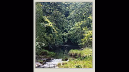 World Environment Day 2020: Plastic-based baby wipes are big concern