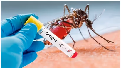 Dengue Fever : 'ഡെങ്കിപ്പനി ബാധിച്ചവരില്‍ വ്യാപകമായി കാണുന്ന മറ്റൊരു പ്രശ്നം'
