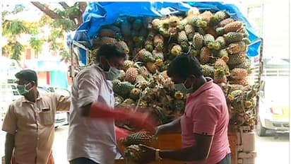 കര്ഷകര്ക്ക് കൈത്താങ്ങ്; പൈനാപ്പിള് ചലഞ്ചുമായി കൃഷിവകുപ്പ്