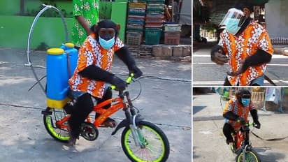 കൊവിഡ് കാലത്തെ ക്രൂരത; ചിമ്പാൻസിയെ സൈക്കിള്‍ ചവിട്ടിച്ച് സാനിറ്റൈസർ തളിപ്പിക്കുന്നു; വീഡിയോ