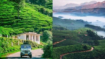 ലോക്ക്ഡൗൺ: 21 മുതല് ഇടുക്കി സാധാരണ ജീവിതത്തിലേക്ക്; നിയന്ത്രണങ്ങള് ഇങ്ങനെ