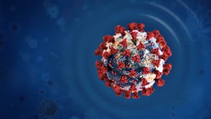 കൊവിഡ് 19: കോഴിക്കോട് ജില്ലയില് 22,043 പേര് നിരീക്ഷണം പൂര്ത്തിയാക്കി