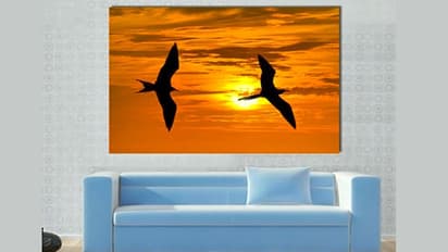 घर में ये 6 चीजें सही जगह पर रखी हो तो दूर होते हैं वास्तु दोष और मिलता है भाग्य का साथ