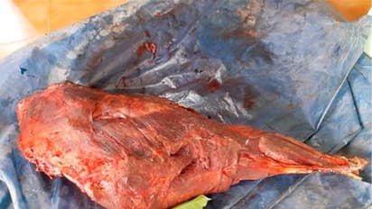 പെരുവണ്ണാമുഴിയില് മാനിറച്ചിയും പന്നിനെയ്യും പെരുമ്പാമ്പിന് നെയ്യും അടക്കമുള്ളവ പിടിച്ചെടുത്തു