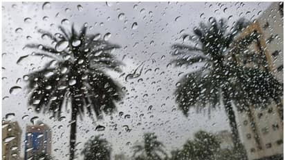 അഞ്ച് ദിവസത്തേക്ക് മഴ തുടരും; വിവിധ ജില്ലകളില് യെല്ലോ അലേര്ട്ട്